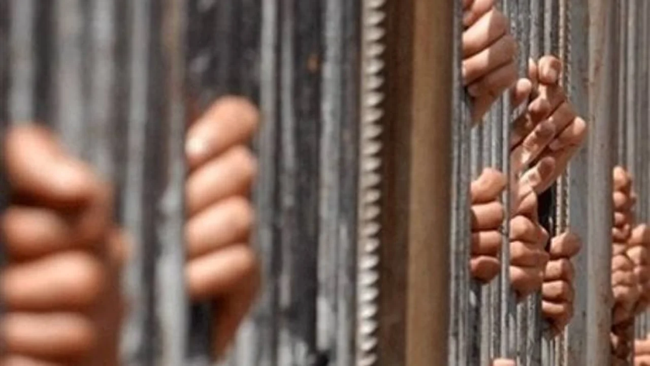 قوة السلاح.. تفاصيل سرقة هاتف محمول بواسطة شخصين في شوارع القاهرة
